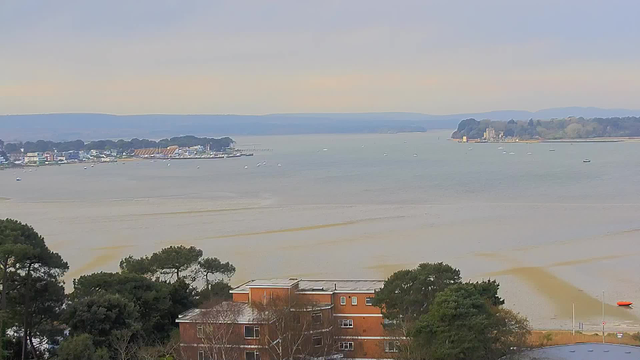 A panoramic view of a calm body of water with boats scattered throughout. In the foreground, there are green trees and a brown building. The background features a shoreline with structures and hills, under a light gray sky.