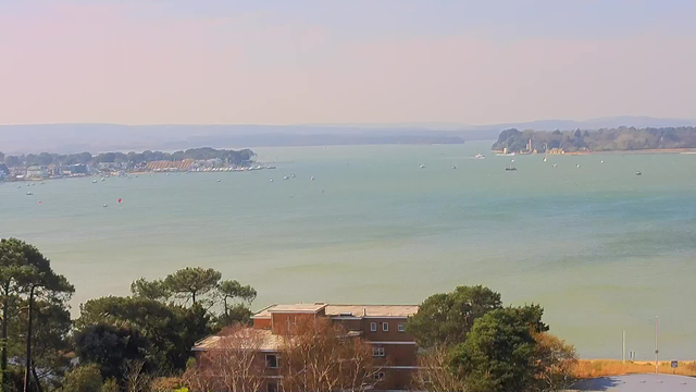 A scenic view of a body of water surrounded by trees and buildings. In the foreground, there are some low-rise buildings partially covered by green foliage. The water has various small boats scattered across it, and the distant shoreline features a mix of green hills and built structures. The sky above is light with soft pastel colors, suggesting a calm, sunny day.