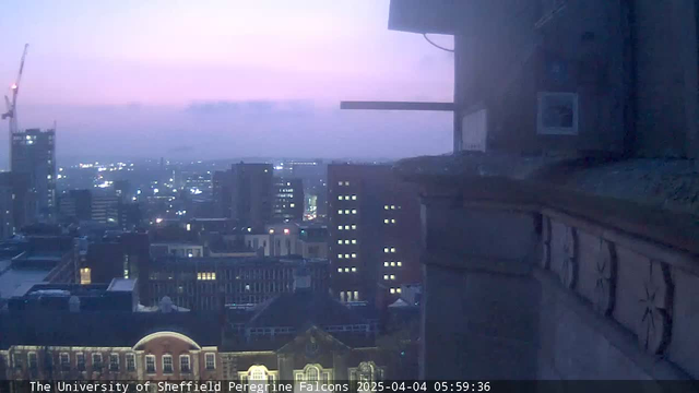 A dawn scene captured from a high vantage point, showing a city skyline with various buildings, some tall and lit. The sky transitions from deep blue to soft pink hues as the sun rises. A decorative stone ledge is in the foreground, partially obscuring the view. A construction crane is visible in the distance, adding to the urban landscape. The overall mood is calm and tranquil, typical of early morning.