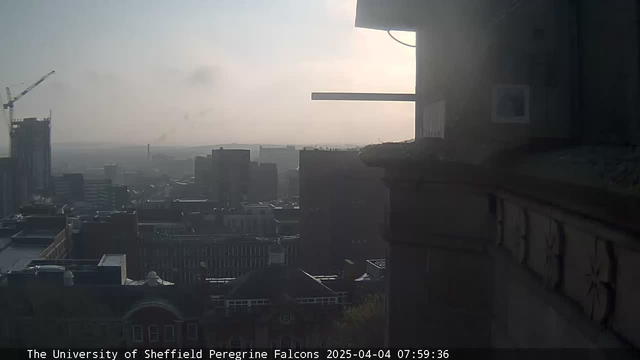 A view from a webcam showing a cityscape during early morning. In the background, several buildings can be seen, including taller skyscrapers. There is a crane visible on the left side, indicating construction. The sky is light gray and hazy, suggesting overcast weather. The image includes architectural details of a ledge in the foreground, alongside ornate stonework. The timestamp at the bottom shows the date and time as April 4, 2025, at 07:59:36.