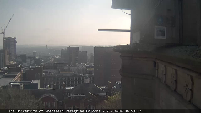 A cityscape of Sheffield is visible, showing a mix of tall buildings and rooftops. In the background, there is a hazy skyline with some cranes indicating construction activity. The sky appears bright and clear. The scene is taken from a high vantage point, capturing the urban environment below.
