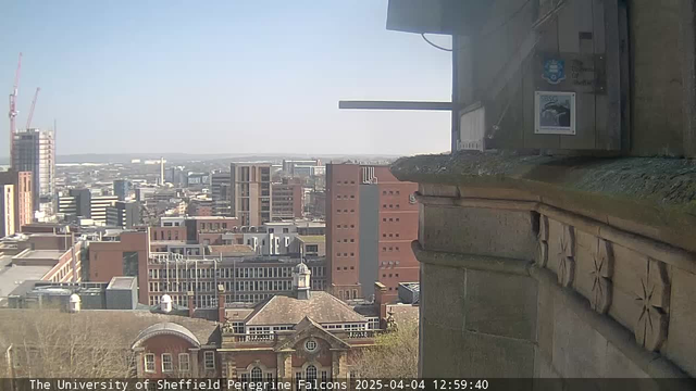 A view from a high vantage point overlooking a city. In the foreground, a stone ledge with decorative carvings is visible, while a portion of a building with a domed roof is seen below. The background features various modern and older buildings, with some construction cranes indicating ongoing development. The sky is clear and blue, suggesting a sunny day.