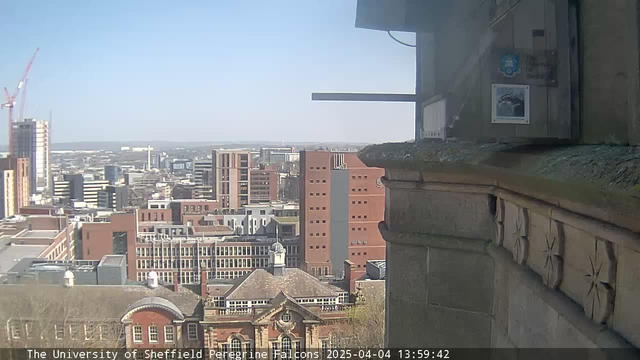 A cityscape view shows a mix of modern buildings with large glass windows and older brick structures. In the foreground, there is a ledge with architectural detailing. In the background, cranes indicate ongoing construction. The sky is clear and bright blue, suggesting a sunny day.