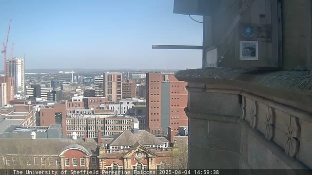 A view from a high vantage point overlooking an urban landscape on a clear day. The scene features a mix of modern and older buildings, with a prominent, ornate structure in the foreground, possibly a historical building. There are several cranes in the distance indicating construction activity. A light blue sky stretches above, with no clouds visible. The scene provides a broad perspective of the cityscape, highlighting the architectural variety.