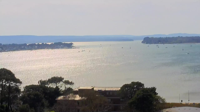  A panoramic view of a calm body of water reflecting sunlight, surrounded by a distant shoreline dotted with trees and buildings. Several small boats are scattered across the water, and the horizon features gentle hills. In the foreground, there are some green trees and a low building with a flat roof. The sky is mostly clear with soft, muted colors.
