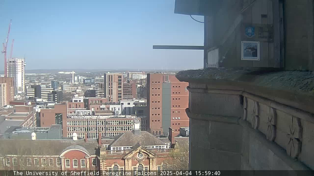 A clear blue sky is visible in the background. In the foreground, the view includes a mix of modern and older buildings of the cityscape. The buildings are predominantly rectangular and vary in height, with some sporting red and gray facades. To the left, there are construction cranes indicating ongoing development. In the bottom portion, part of an older brick building is visible, featuring a rounded roof and decorative elements. The image conveys a blend of urban architecture under a bright, sunny atmosphere.