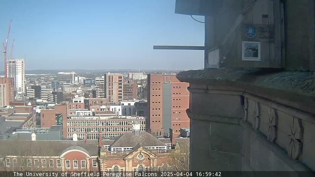 A wide view of a city skyline on a clear day. In the foreground, a stone ledge features ornate carvings. The background showcases various buildings, including modern structures with glass facades and older, traditional-style architecture. A clear blue sky is visible above, with no clouds. The time stamp at the bottom indicates the image was captured on April 4, 2025, at 16:59:42.