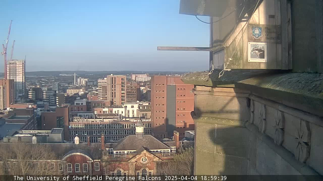 A cityscape view from a high vantage point, featuring a mix of modern and historical buildings. The foreground includes a stone ledge with decorative carvings. In the background, there are several skyscrapers and other structures, with cranes indicating ongoing construction. The sky is clear and blue, suggesting a bright and sunny day. The scene captures the urban environment of Sheffield.