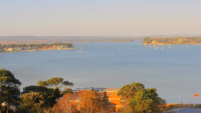 A serene view of a calm blue bay with several small boats floating on the water. In the foreground, there are trees and a few buildings with orange roofs. Across the bay, a shoreline featuring greenery, hills, and more boats can be seen in the distance. The sky is clear with soft light, suggesting early morning or late afternoon.
