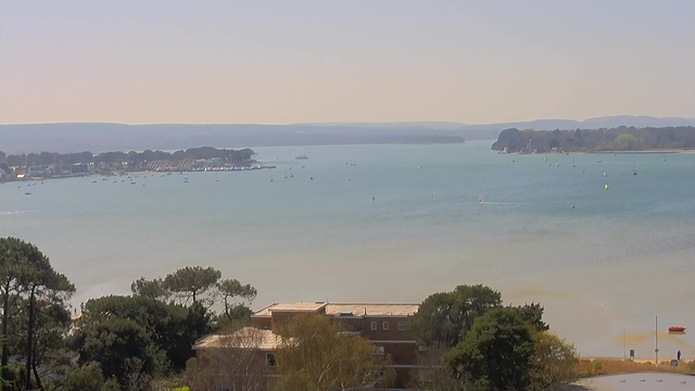 A coastal view features a calm bay with various small boats scattered across the water. In the background, a row of houses lines the shore amid green trees. The water has a light blue and green hue, and distant hills are visible under a clear sky. A few sailboats with colorful sails dot the horizon, while the sandy shore is partially obscured by vegetation. The foreground includes tree tops and a low building with a flat roof.