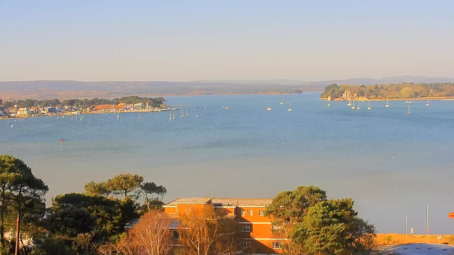 A scenic view of a calm bay with a clear blue sky. In the foreground, there is a cluster of trees and buildings, with the building on the left being brick-colored. The bay is dotted with several small boats, and in the distance, a shoreline features houses and a few taller trees. Beyond the shore, rolling hills can be seen. The overall atmosphere is peaceful and bright, suggesting a sunny day.