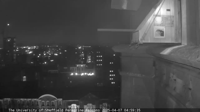 A night scene captured from a webcam, showing a view of a city skyline illuminated by various lights from buildings. The foreground includes a ledge with a slanted surface and a wall on the right with a small window. There are also lights near the window, casting a warm glow, while the background features tall buildings and a dark sky. The overall composition creates a contrast between the lighted areas and the darker surroundings.