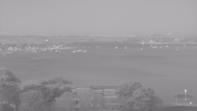 A grayscale image shows a calm body of water with several small boats floating on its surface. In the foreground, there are trees, and a building partially obscured by them. The background features a distant shoreline with gentle hills and more boats scattered across the water. The overall scene conveys a peaceful, natural environment.