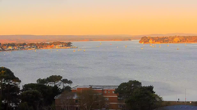 A scenic view of a tranquil bay during sunset, with soft orange and yellow hues painting the sky. In the foreground, there are trees and a brown building. The bay is dotted with numerous small boats, some sailing, while a shoreline of houses and trees can be seen in the distance. Gentle ripples in the water reflect the warm colors of the sky, creating a peaceful atmosphere.