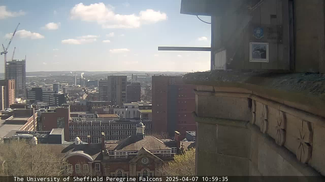 A view from a webcam at The University of Sheffield shows a city skyline on a clear day. In the foreground, there is a stone structure with decorative carvings. Behind it, there are several buildings of varying heights, including both modern skyscrapers and older architecture, hinting at a mix of styles. The sky is bright blue with some fluffy white clouds scattered throughout. The scene captures a vibrant city atmosphere with visible construction cranes and numerous rooftops, extending to the horizon where the landscape meets the sky.