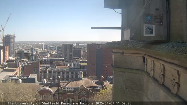 A panoramic view of a city skyline on a clear day. In the foreground, buildings of various heights and styles are visible, with a mix of modern and older architecture. The backdrop features a blue sky and distant hills. At the upper left, a construction crane is present, indicating ongoing development. There are signs of urban life, with rooftops and windows visible across the landscape. The image conveys a vibrant urban atmosphere.