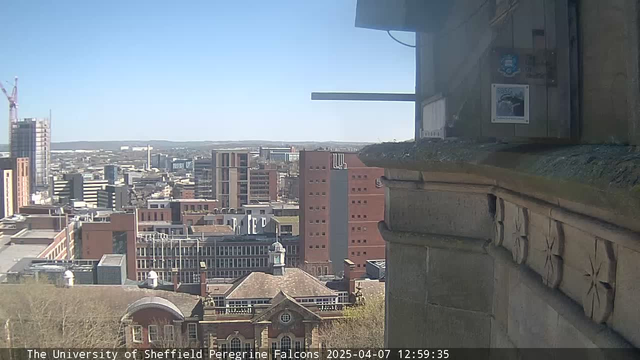 A cityscape view from a high vantage point, showing a clear blue sky and various buildings. In the foreground, there is a stone ledge with decorative carvings. Below, a mix of modern and historical architecture can be seen, including brown brick buildings and rooftops. In the distance, some construction cranes are visible, indicating ongoing development. The overall scene is bright and sunny.