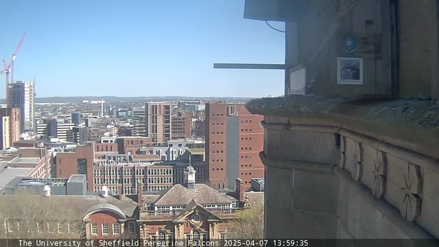 A view from a high vantage point overlooking a cityscape on a clear day. In the foreground, there's a stone ledge with intricate designs. Below are several buildings of varying heights and architectural styles, including modern glass structures and older brick buildings with distinct rooftops. A construction crane is visible in the distance, indicating ongoing development. The sky is bright blue with no clouds, suggesting sunny weather.