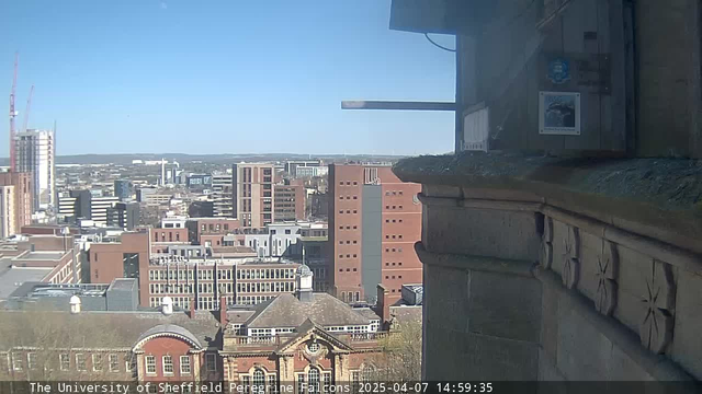 A panoramic view of a cityscape under a clear blue sky. In the foreground, a stone ledge with decorative carvings is visible, while the background features a mix of modern and older buildings, including tall structures with glass facades and brick buildings. There are hints of greenery and distant hills on the horizon, suggesting it is springtime. A crane indicates construction in the vicinity. The scene conveys a bright, sunny day in an urban setting.