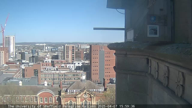 A bright blue sky is visible in the background, with several tall buildings and a construction crane on the left side. In the foreground, there is a stone ledge with intricate carvings along its edge. The scene captures a vibrant urban environment, showcasing a mix of modern and historical architecture in the city of Sheffield.