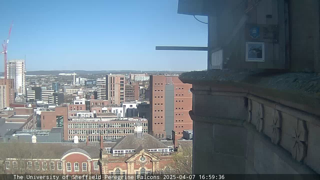A cityscape under a clear blue sky, showing a variety of buildings, including tall skyscrapers and shorter structures. In the foreground, there is a stone ledge with a detailed decorative edge. The scene captures a mix of modern architecture with red-brick buildings and glass facades. A construction crane is visible on the left side, suggesting ongoing development in the area. The time displayed in the bottom left corner indicates it is late afternoon.