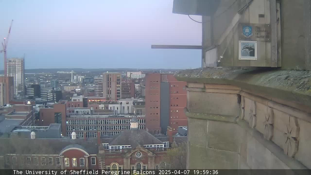 A view from a university webcam showing a city skyline at dusk. In the foreground, there is a stone ledge with architectural details, including carvings. In the background, various buildings are visible, including a red-brick structure and modern high-rise buildings. The sky features soft shades of blue and pink as the sun sets. A sign indicating "The University of Sheffield" is attached to the wall near the ledge.