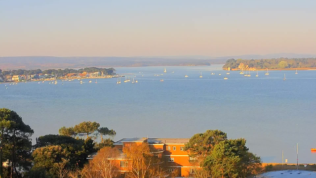 A serene view of a coastal landscape featuring a wide body of water with numerous small boats sailing. On the left, a shoreline with trees and various buildings, including some colorful houses. The sky is clear with a soft golden hue, suggesting a calm time of day. In the distance, gentle hills outline the horizon. The scene conveys a tranquil atmosphere of a sunny day by the sea.