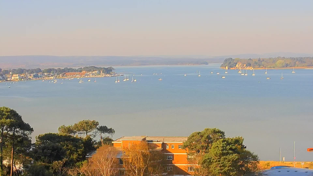 A scenic view of a calm harbor featuring several sailboats sailing on the blue water. In the background, a shoreline with trees and buildings can be seen, partly obscured by greenery. The sky above is clear, with a soft, warm light illuminating the scene, creating a peaceful atmosphere.