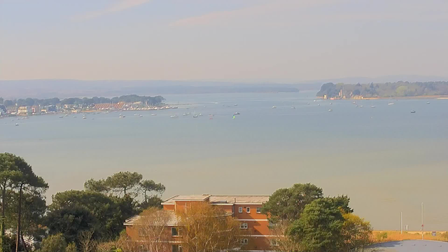 A view of a calm bay surrounded by greenery and buildings. In the foreground, there are low-rise buildings partially obscured by trees. The water is mostly still, dotted with several small boats, some of which are white, while one green sailboat adds a splash of color. In the background, a shoreline with structures suggests a quaint coastal town, with trees lining the edge. The sky is clear with a few light clouds, indicating a sunny day.