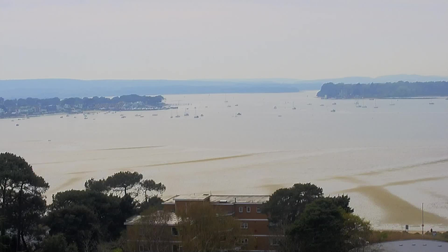 A panoramic view of a calm waterway, with multiple small boats scattered across the water. In the foreground, there are trees with dark green foliage and a building partially visible. The background features a distant shoreline with low hills under a hazy sky, creating a serene and tranquil atmosphere. The water appears to have gentle ripples, reflecting soft colors.