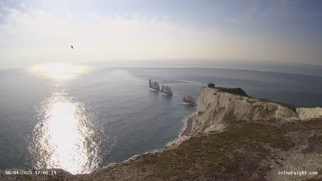 A panoramic view of the coastline featuring white chalk cliffs and the sea. In the foreground, grass-covered ground slopes down towards the water. The sea reflects sunlight, creating a shimmering effect on the surface. To the left, several rocky formations jut out of the water. A small structure can be seen atop the cliffs. The sky is mostly clear with a few clouds, and a bird is flying overhead.