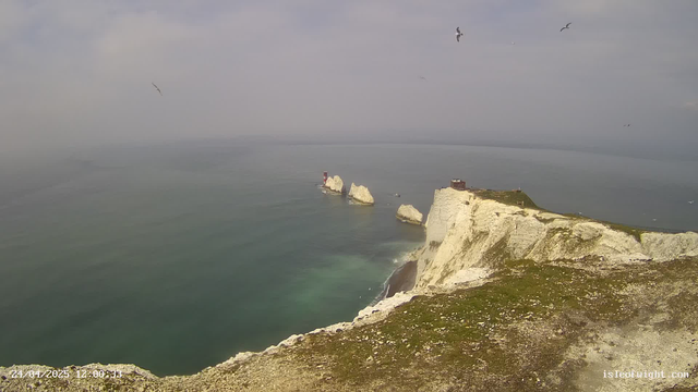 A view of white chalk cliffs rising from the sea, with large rocks at their base. The cliffs extend to the right, with a small building and some grassy areas on top. Several seagulls are flying in the cloudy sky above the ocean. The water below is calm with varying shades of green and blue. The timestamp in the bottom left corner indicates the date and time as April 24, 2025, at 12:00:33.