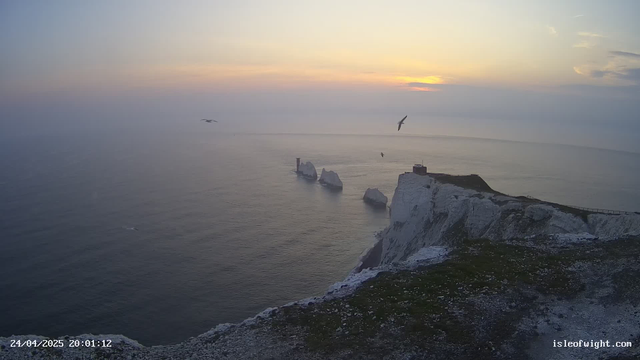 A view of white chalk cliffs overlooking the ocean at sunset. Several seagulls are flying over the water, and the sky is partly cloudy with the sun near the horizon. The timestamp in the bottom left corner shows "24/04/2025 20:01:12," and the bottom right corner displays the website "isleofwight.com."