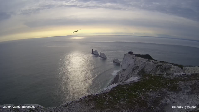 A panoramic view of white chalk cliffs along the coastline at sunset, with the ocean below reflecting the sky's soft light. A lone seagull is flying over the water, and the cliffs feature a lighthouse and a small building on top. The scene exudes calm and natural beauty, with a cloudy sky casting a gentle glow over the landscape.