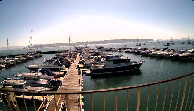A marina filled with various boats and yachts docked along wooden piers. The water is calm and stretches out towards the horizon, where a distant landmass can be seen. The sky is clear and bright, indicating a sunny day. Golden railing curves in the foreground, framing the view.