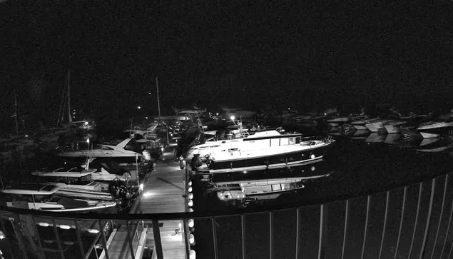 A black and white image of a marina at night, showing multiple docked boats and yachts. The boats are reflected in the calm water, and there are some lights illuminating the dock area. A railing is visible in the foreground.