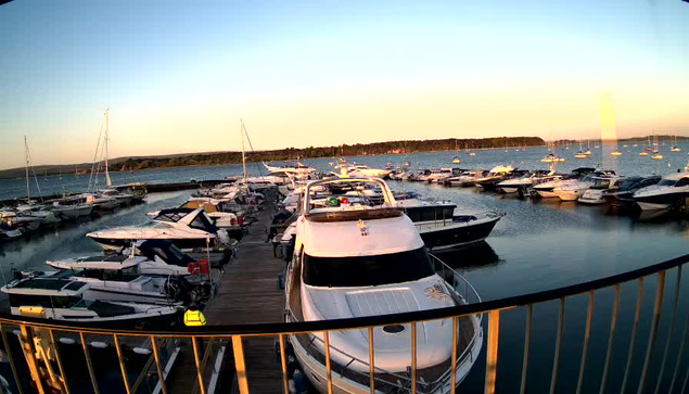 A harbor scene at sunset with numerous boats docked along piers, a large white yacht in the center, and a calm body of water reflecting the warm light. In the background, there is a landmass with trees extending across the horizon. The image appears to be taken from a vantage point behind a metal railing.