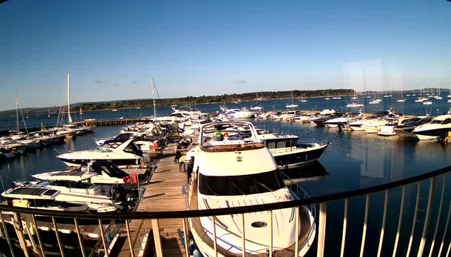 A marina filled with various boats and yachts docked along wooden piers, with calm water reflecting the clear blue sky and a distant tree-covered shoreline in the background. A curved metal railing is in the foreground.