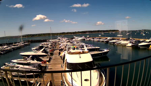 A view of a marina with numerous boats and yachts docked along wooden piers. The water is calm and reflects the boats. In the background, there is a shoreline with trees under a partly cloudy sky, suggesting a bright, sunny day.