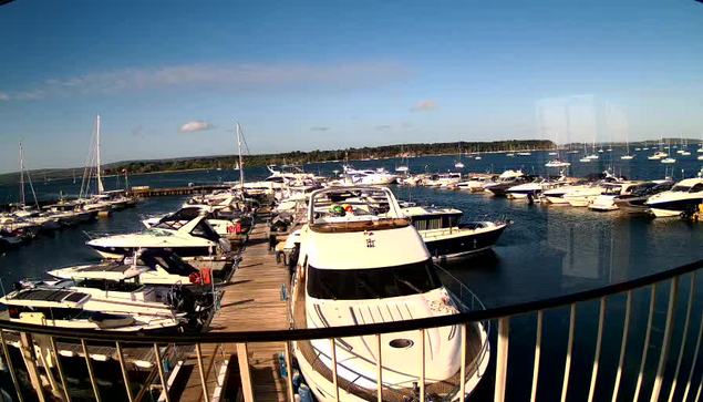 A marina filled with numerous white yachts and boats docked along wooden piers. The water is calm and reflects the clear blue sky with a few scattered clouds. In the background, there is a tree-lined shoreline extending across the horizon. The photo is taken from a slightly elevated position, with a black railing visible in the foreground.