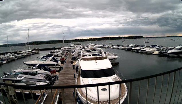 A marina filled with numerous docked boats and yachts under a cloudy sky, with a wooden pier extending into the water and a metal railing in the foreground.