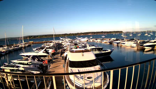 A marina filled with various boats and yachts docked along wooden piers, with calm water reflecting the vessels. In the background, there is a forested shoreline under a clear blue sky.