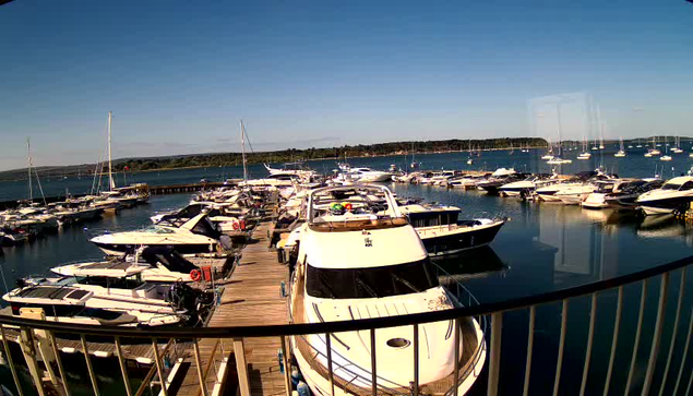 A marina filled with numerous white and black motorboats and sailboats docked at wooden piers, with calm water reflecting the boats. In the background, there is a tree-lined shoreline under a clear blue sky. A metal railing is visible in the foreground.