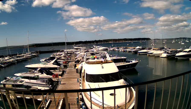 A marina filled with numerous white and dark-colored boats docks is visible under a partly cloudy sky. The boats are moored along wooden piers, and a black railing runs along the edge of the foreground. In the distance, there is a stretch of land with trees on the horizon.