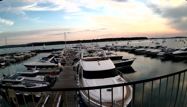 A marina filled with numerous boats docked along wooden piers, with calm water reflecting the sky. The boats vary in size, mostly white, and are anchored on both sides of the piers. The sky is partly cloudy with a hint of sunset colors, casting a gentle glow over the scene. A black metal railing runs across the foreground, partially obstructing the view. In the background, a distant shoreline with trees is visible under the expansive sky.