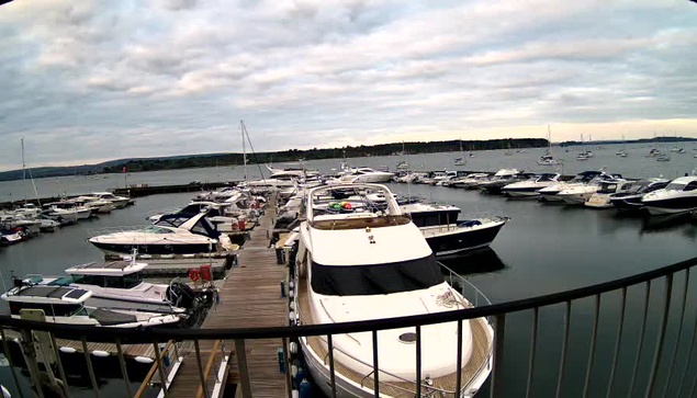 A marina with numerous boats docked along wooden piers. The boats vary in size and design, with some having covered cabins and others open. The water is calm, and the sky is partly cloudy with patches of blue visible. In the background, there is a distant shoreline with some trees and structures. A black metal railing curves in the foreground.