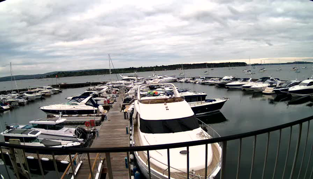 A marina filled with a variety of boats and yachts docked along wooden piers on a calm body of water. The sky is cloudy, and a distant shoreline with trees can be seen on the horizon. A black metal railing is visible in the foreground.
