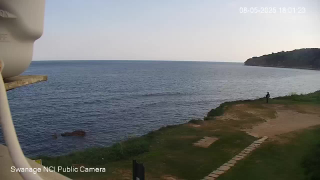 A person is standing near the edge of a grassy and sandy shoreline, looking out across a calm body of water. In the background, there is a small headland or cliff on the right side. The sky is clear and the scene appears to be during late afternoon or early evening. The image is from a beach or coastal area, taken from a webcam. The timestamp in the top right shows the date and time as August 5, 2025, at 6:01 PM.