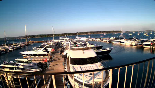 A marina filled with various white and dark-colored boats and yachts docked along wooden piers. The water is calm and reflects the boats, with a clear blue sky overhead and a distant shoreline with trees. A metal railing curves around the foreground.