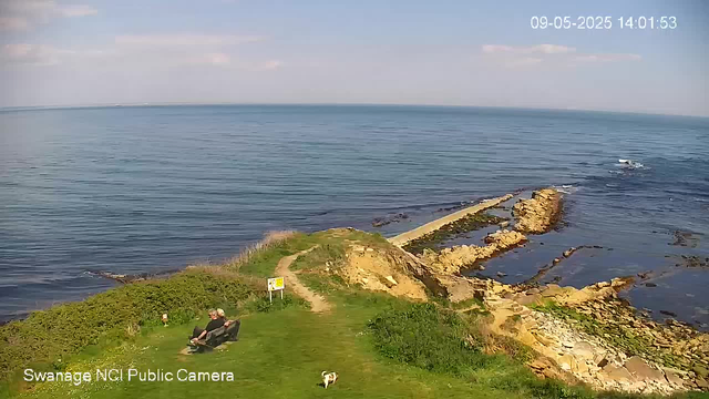 A man sits on a bench near the edge of a grassy area by the sea, with a small dog nearby. There is a narrow dirt path leading down to the rocky shoreline. The calm ocean extends to the horizon with a boat visible in the distance. The sky is partly cloudy with some sunlight. The date and time displayed in the upper right corner are September 5th, 2025, 14:01:53, and the bottom left corner indicates the camera is a Swannage NCI Public Camera.